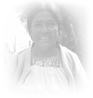 Mujeres emprendedoras en Hidalgo